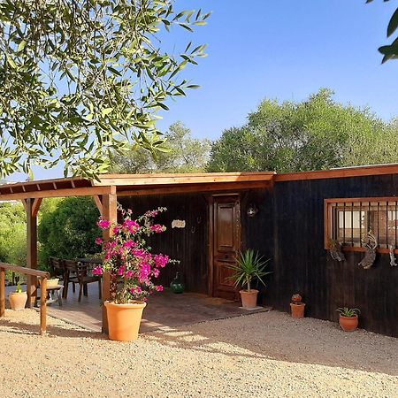 Preciosa Casa De Madera, Andalucia Villa Prado Del Rey Buitenkant foto